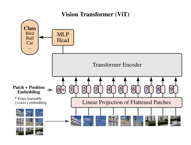The Vision Transformer architecture
